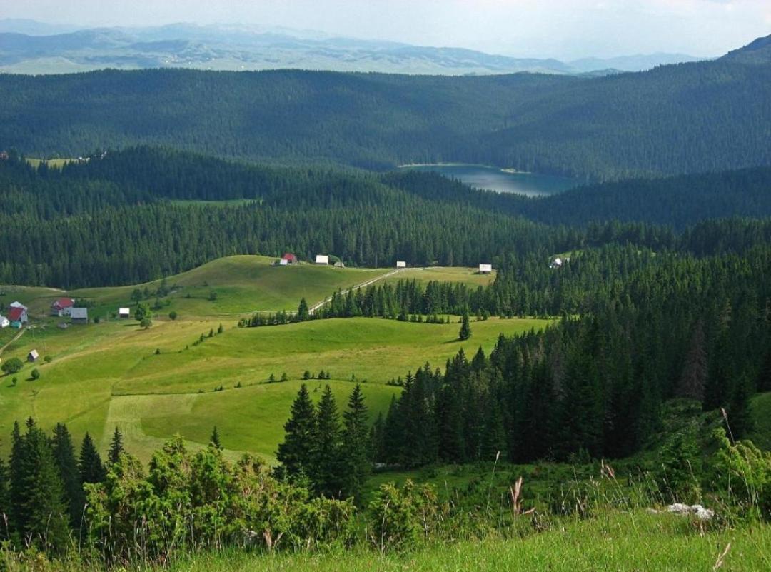 Cottage 1600 Bosaca Никшич Экстерьер фото